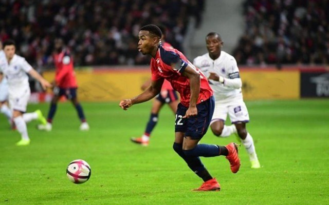 球员学习的 球员学习的