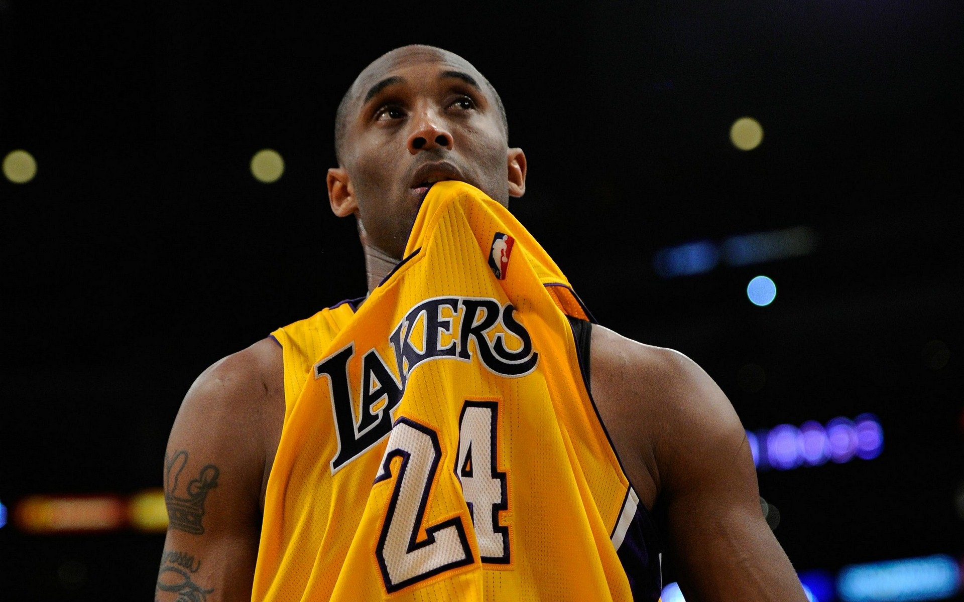 他们将与一 他们将与一