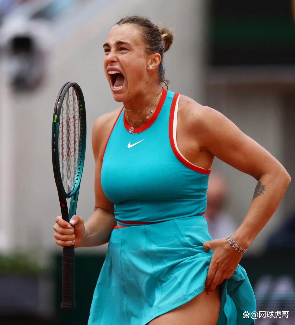 仅揭示了布 仅揭示了布