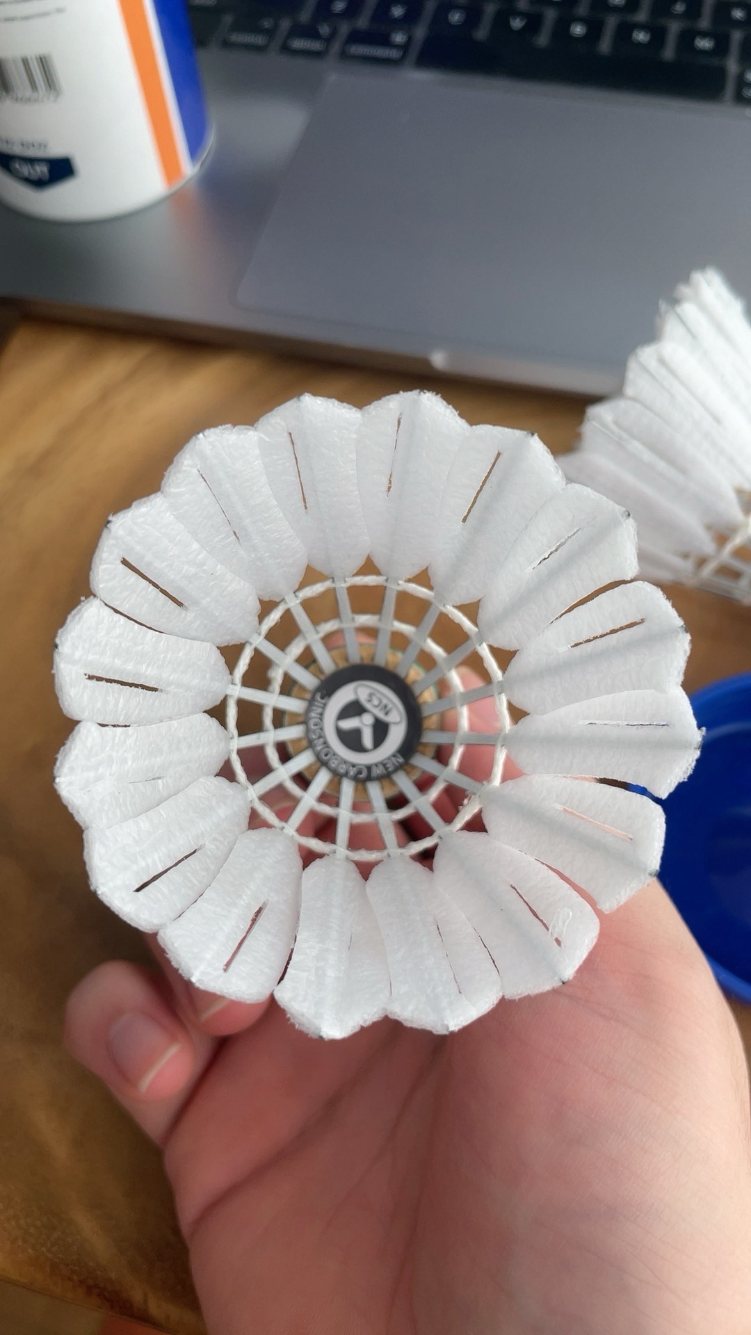 巴尔科拉 巴尔科拉