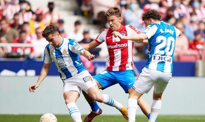 心球员进行 心球员进行