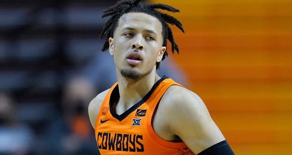 不少专家评 不少专家评